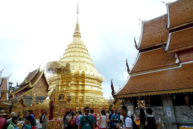 One Day Tour Doi Suthep Temple, Palad Temple, Orchid Farm, Longneck Hill Tribe Village (Private Tour - Reviews and Ratings