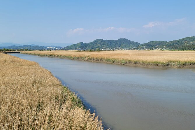 One Day Tour in Boseong Tea Plantation & Suncheon National Garden - Itinerary Overview