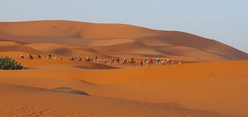One Way Trip From Fez to Merzouga (Only Transportation ) - Experience and Inclusions