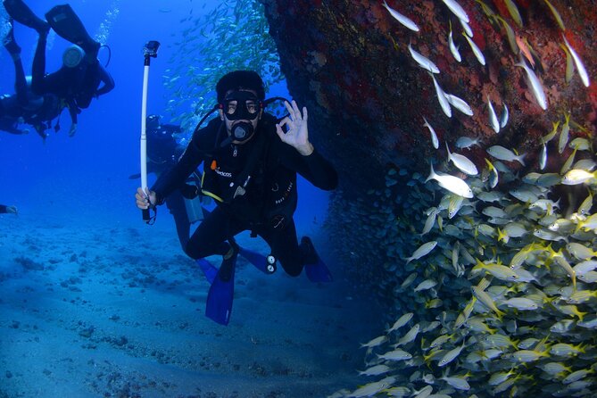 Open Water Diver Course in Arrabida Natural Park (Near Lisbon) - Reviews and Ratings