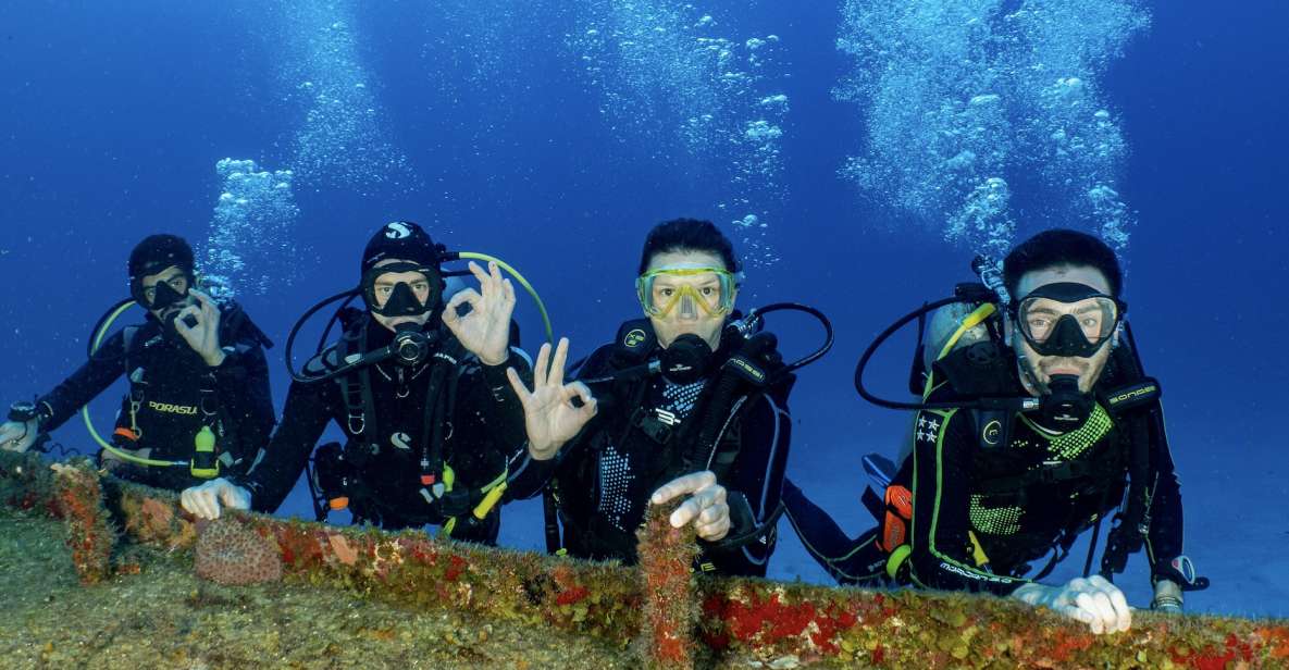 Open Water PADI Diver Course in Cozumel - Experience Details