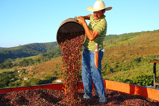 Original Historic Coffee Farm Guided Tour With Transfer - Tour Details