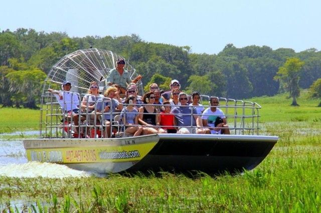 Orlando: Airboat Safari With Transportation - Experience Highlights