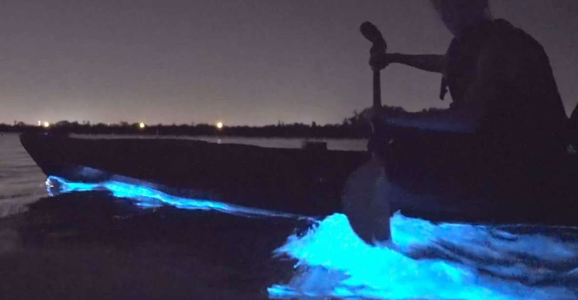 Orlando: Bioluminescence Clear Kayak Or Paddleboard Tour - Experience Highlights