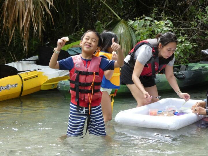 Orlando: Small Group Rock Springs Run Kayak Tour - Experience Highlights