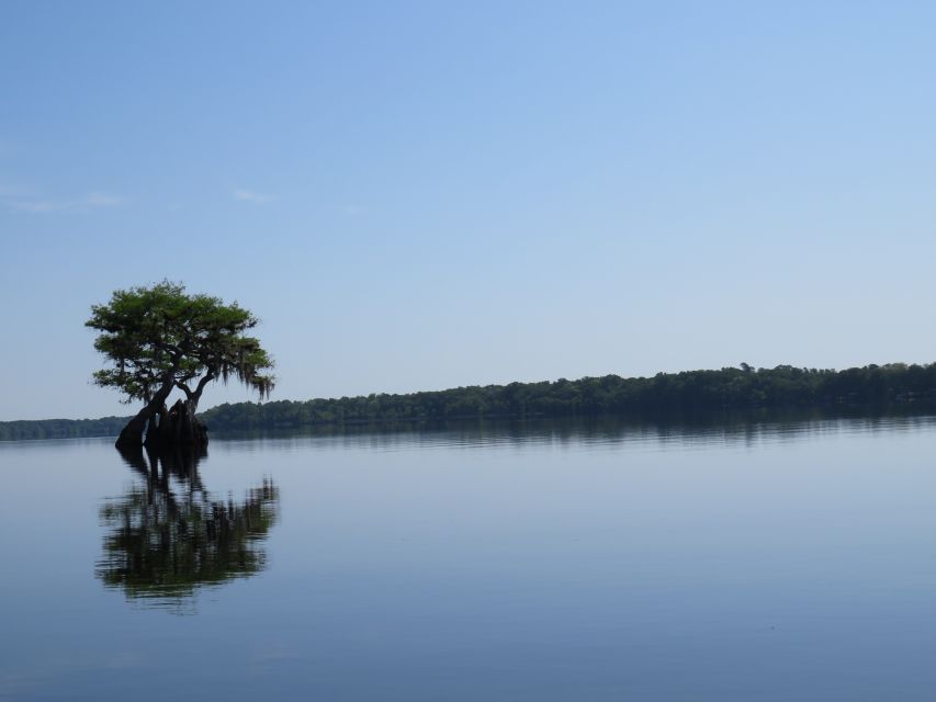 Orlando's Lake Norris: 5-Hour Kayak Explorer Tour With Lunch - Experience Highlights