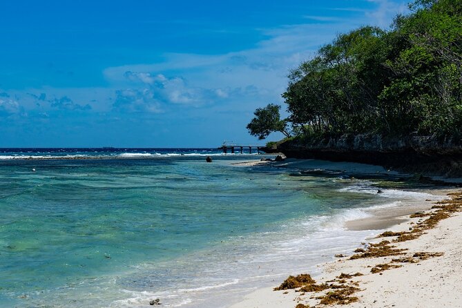 Oslob Whale Shark Group Tour With Sumilon Island & Tumalog Falls - Resting Recommendations