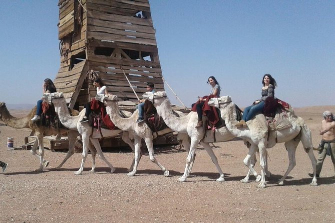 Ouarzazate Horseback or Camel Riding Hollywood Tour - Expectations and Accessibility