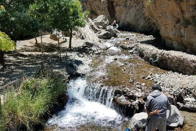 Ourika Valley : Atlas Mountains Day Trip From Marrakech - Highlights of Atlas Mountains Experience
