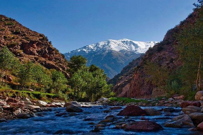 Ourika Valley Day Trip - Enjoy Authentic Moroccan Cuisine