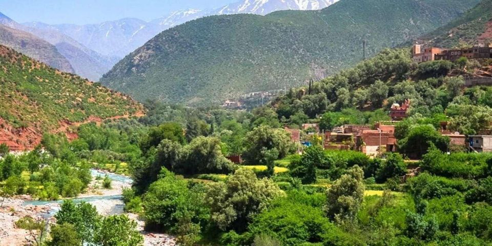 Ourika Valley: Highlights Tour From Marrakech - Moroccan Flavors Lunch Experience