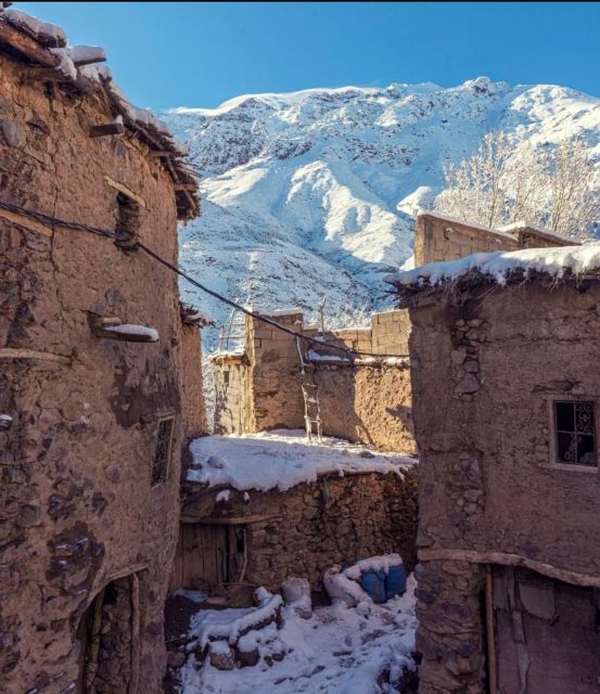 Ourika Valley & Waterfall Berber Villages Camel Ride Trip - Experience Highlights