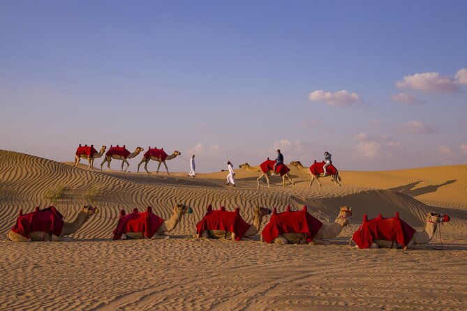 Overnight Camel Caravan With BBQ Dinner and Arabic Breakfast - Traveler Reviews