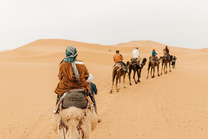 Overnight Camel Trek Over Erg Chebbi Dunes Merzouga - Highlights of the Experience