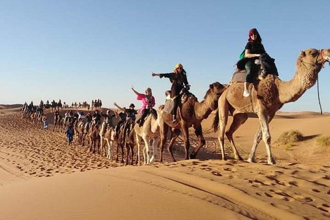 Overnight Luxury Desert Trip Form Fez To Fez - Hassle-Free Logistics