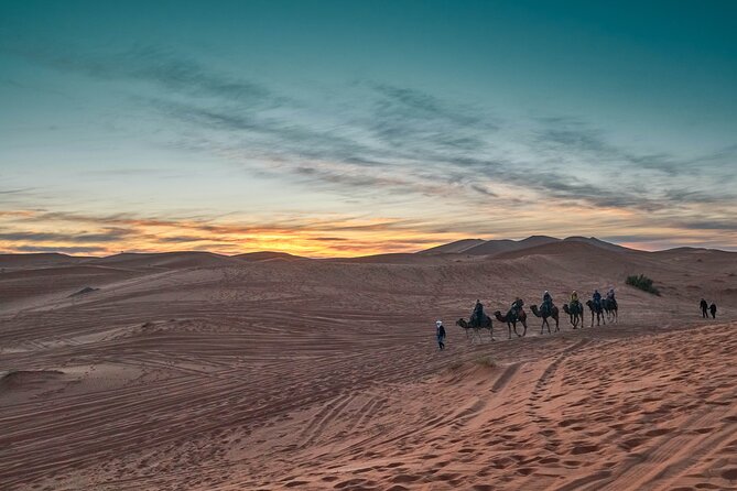Overnight Tour From Fes to Sahara Desert - Traveler Experiences