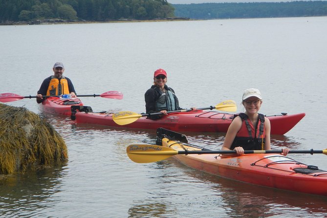 Oyster Farm & Complimentary Tasting Sea Kayak Tour in Casco Bay - Cancellation Policy Details
