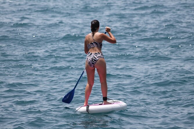 Paddle Surf - Inclusions for Paddle Surf Activity