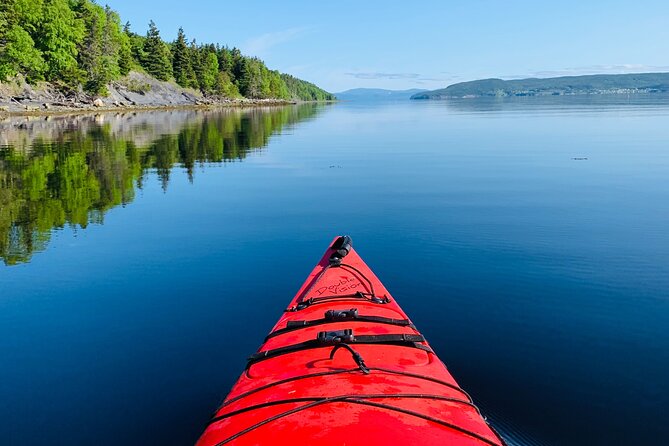 Paddle the Bay of Islands: 2 Hours Guided Kayak Experience - Participant Requirements