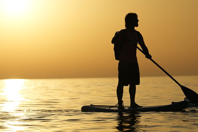 Paddlesurf in Barcelona - Paddlesurf Equipment Rental Options