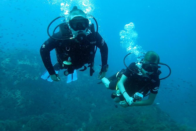 PADI Discover Scuba Diving in Koh Tao - Half Day and Two Dives - Booking Information