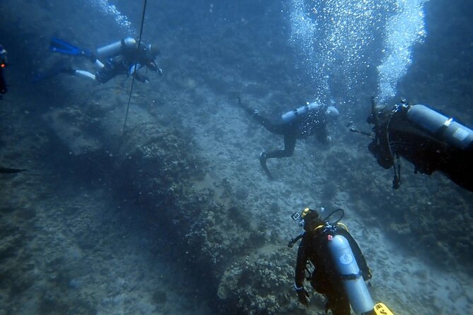 PADI Open Water Certification Course Shared Experience - Equipment Provided