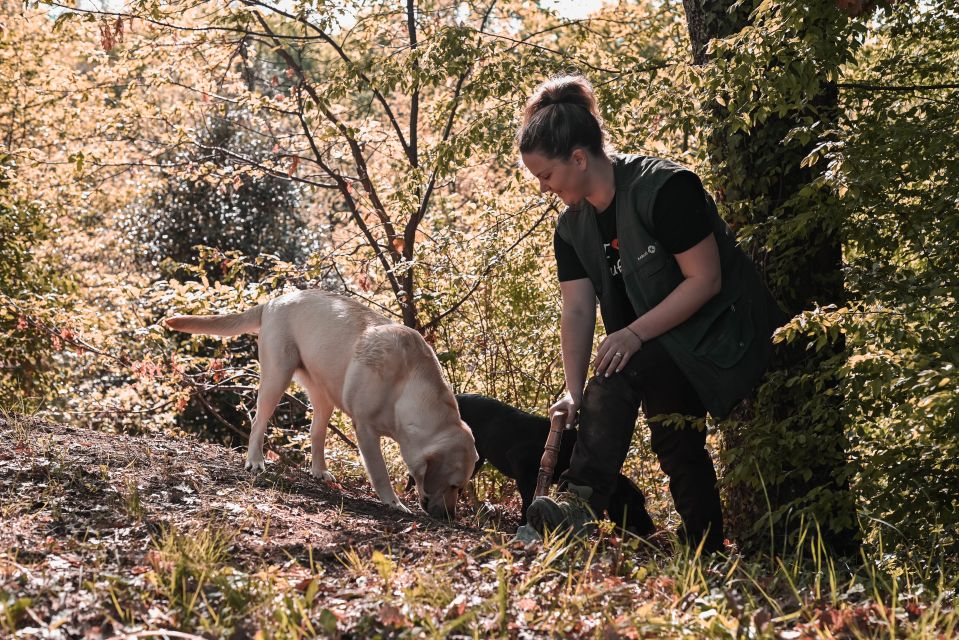 Paladini: Truffle Hunting Tour With 3-Course Tasting Menu - Customer Reviews and Highlights