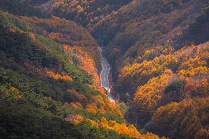 Palgongsan Natural Park Autumn Foliage One Day Tour From Busan - Tour Duration