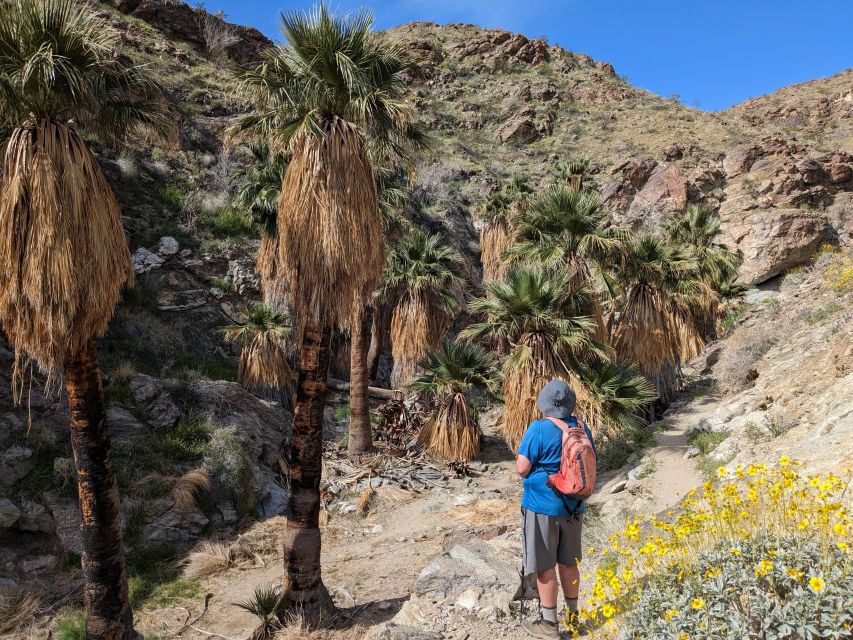 Palm Springs Hike to an Oasis and Amazing Desert Views - Location Information