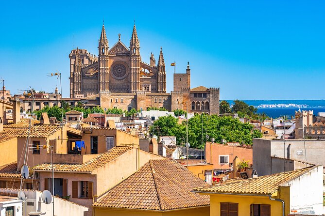 Palma De Mallorca : Private Custom Walking Tour With a Guide - Meeting and Pickup Information