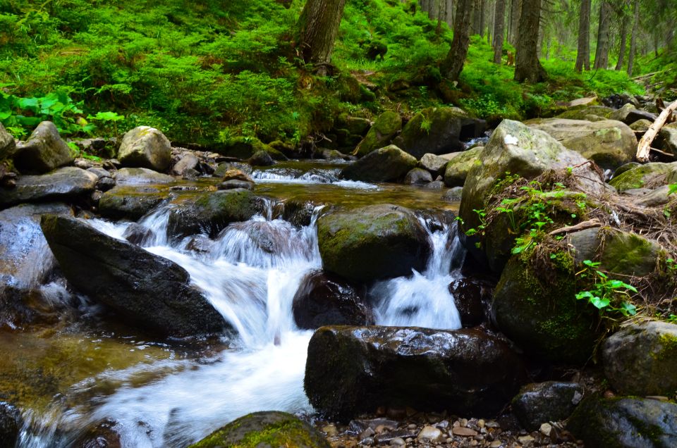 Palomino: Hiking Tour of Valencia Waterfalls With Transfers - Tour Highlights