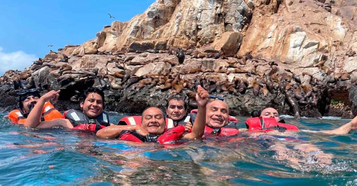 Palomino Islands Speedboat Excursion & Swim With Sea Lions - Experience Details