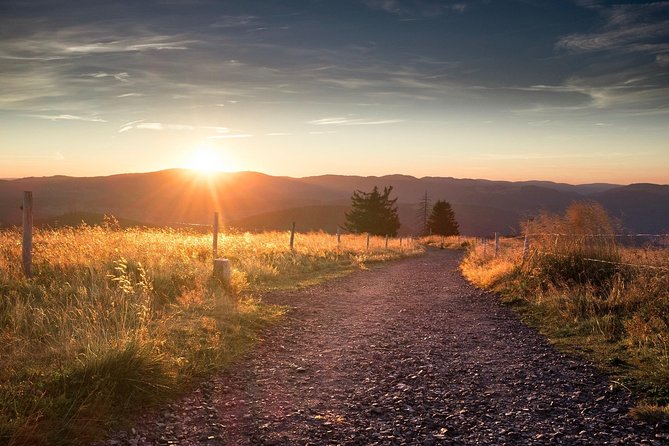 Panorama Hike Through the Black Forest Guided by a Local - Local Guide Experience