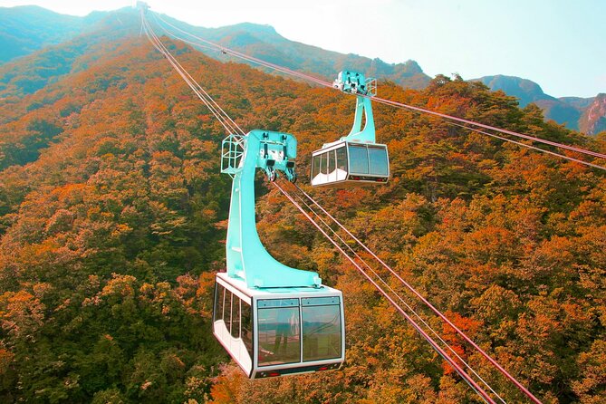 Panoramic Yeongnam Alps Gondola Autumn Foliage Tour From Busan - Booking and Pricing