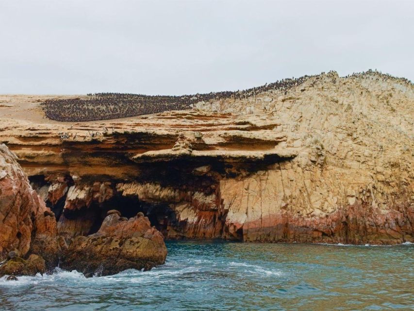 Paracas: Ballestas Islands & Paracas National Reserve - Experience Highlights