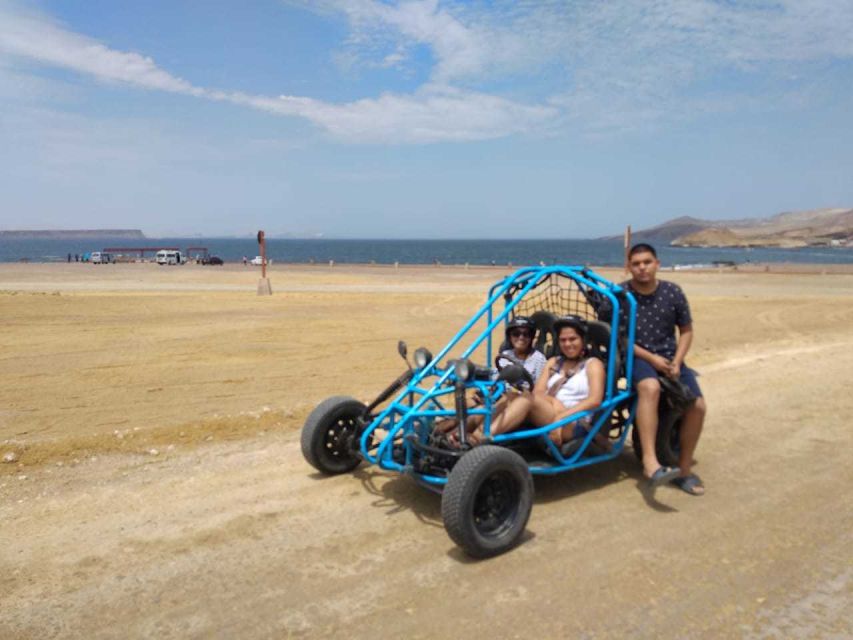 Paracas: Mini Buggy Ride in Paracas National Reserve - Experience Highlights