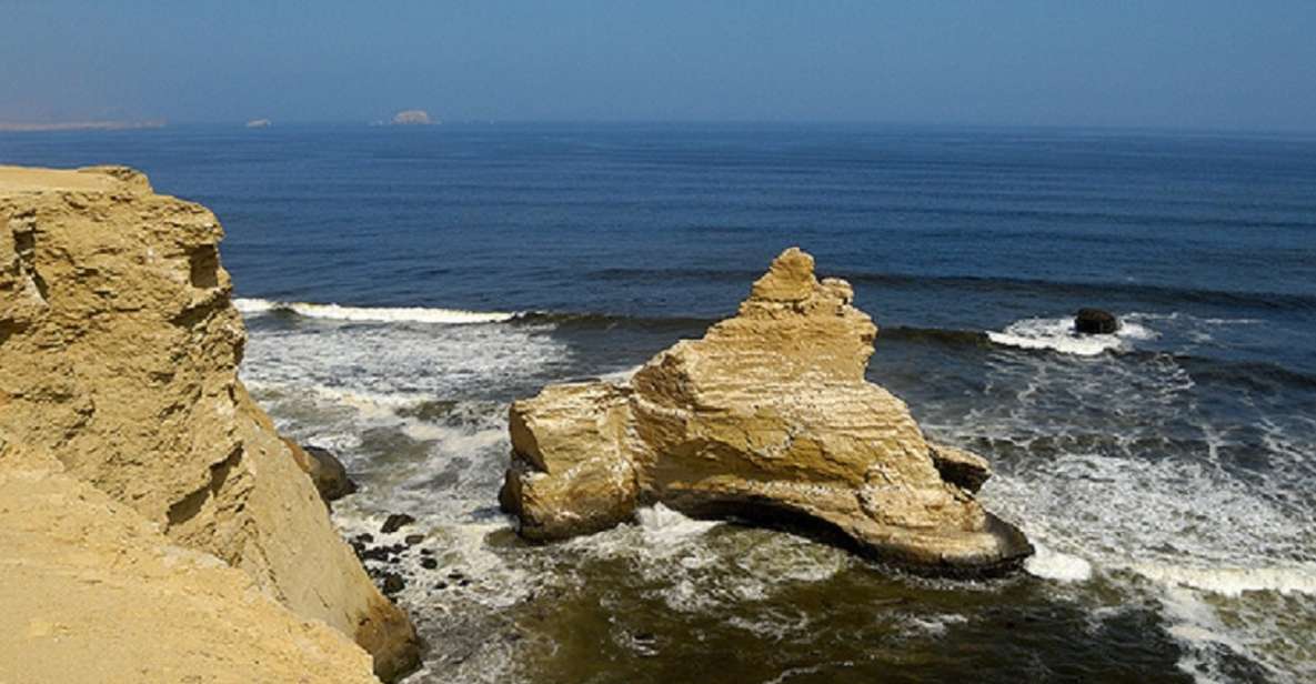 Paracas: Paracas National Reserve Half Day Tour - Experience Wildlife and Ecosystem