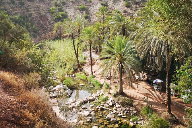 Paradise Valley Half Day Experience - Botanical Garden and Argan Oil Cooperative Visit