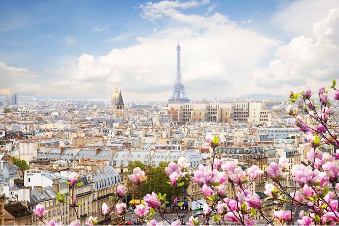 Paris Small Group Tour With River Seine Lunch Cruise From London - Inclusions and Exclusions