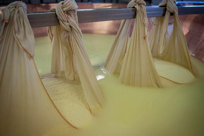 Parmigiano Reggiano Cheese Factory Tour & Tasting Experience - Additional Information