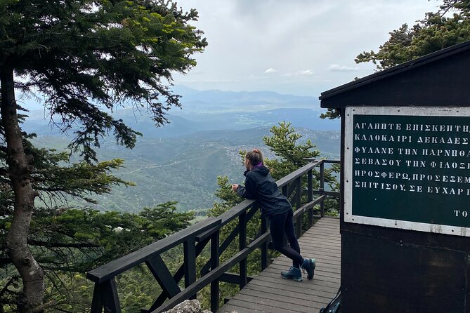 Parnitha Mountain Private Hiking Tour - Booking Process