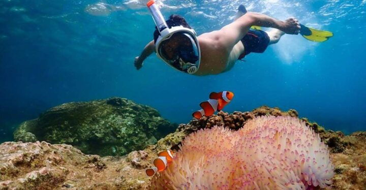 Pattaya: Nemo Island Experience With Drone Photos and Lunch - Activity Highlights