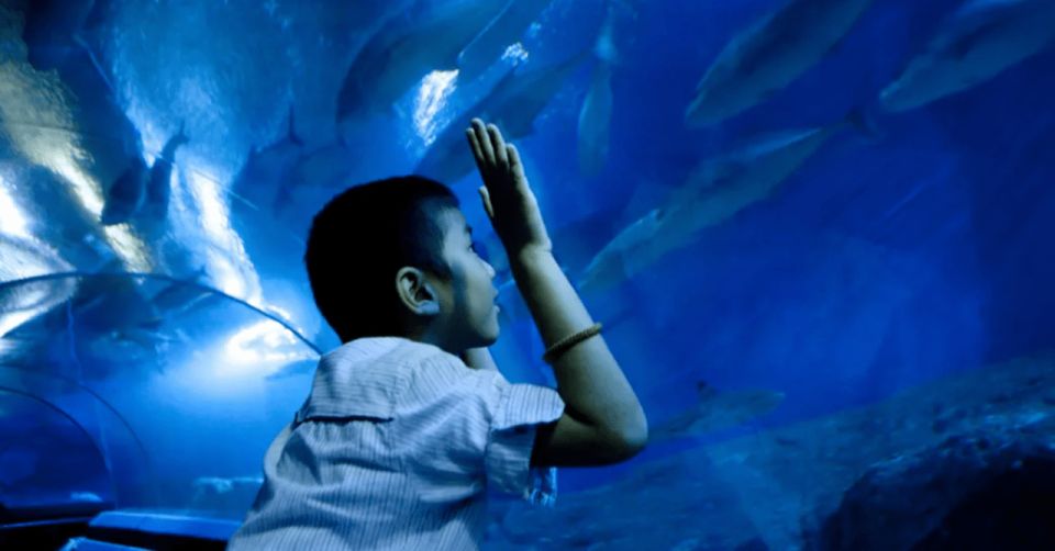 Pattaya: Under Water World - Attraction Highlights
