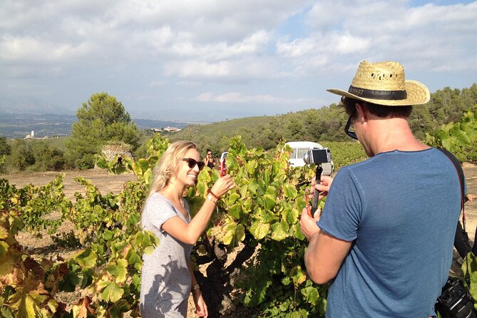 Penedes and Cava Winery Small Group Tour - Pickup and Language Options