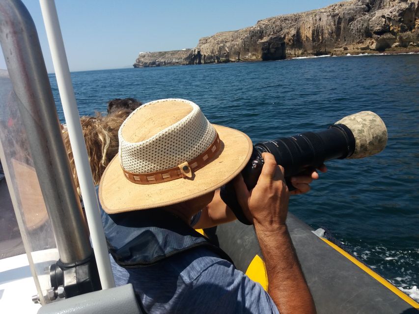 Peniche: Dolphin Route Boat Trip - Booking Details