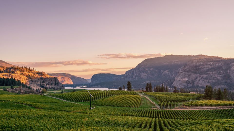 Penticton Wineries Tour - Tour Highlights