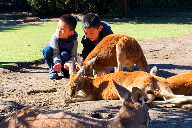 Perth Kids Explorer Private Day Tours - Booking and Pickup Details