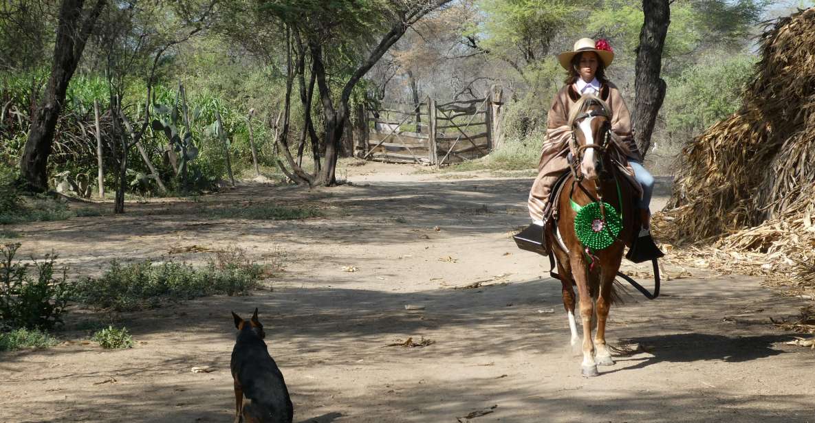 Peru, Chiclayo: 1 Day Horseback Riding and Ancient Pyramids - Experience Highlights