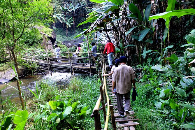 Pha Dok Siew Nature Trail & Doi Inthanon National Park From Chiang Mai - Pickup Points and Information