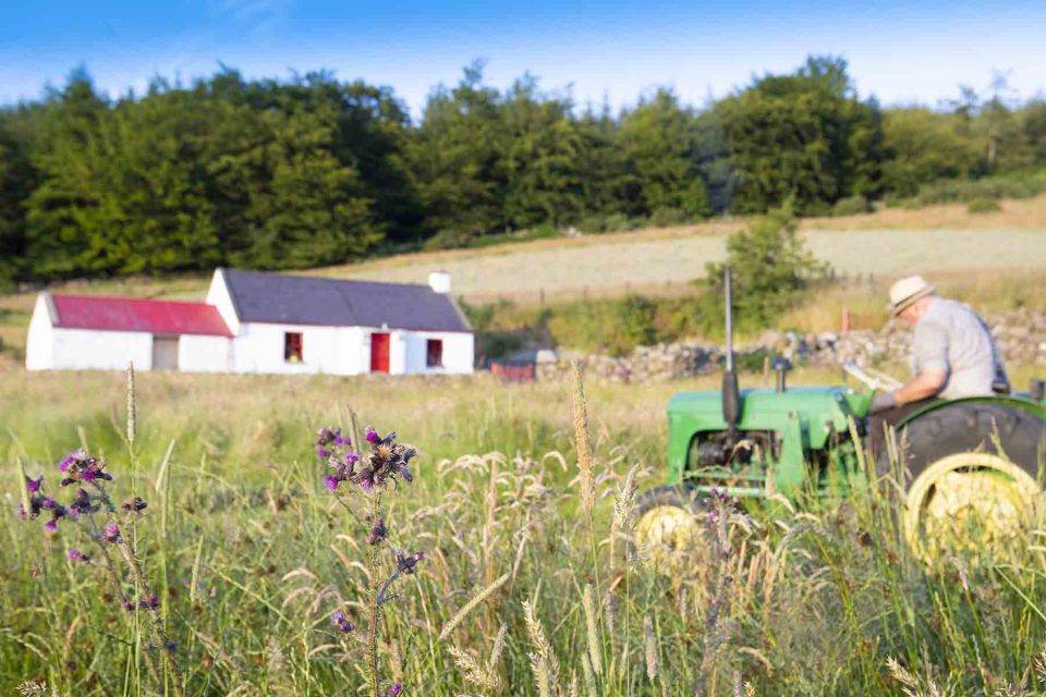 Photography Tour of Carlingford & Surrounding Area - Photography Experts